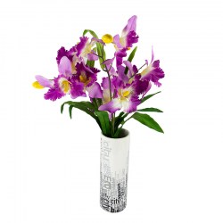 191030_CATTLEYA ORCHID SPRAY MULTICOLOR-B (3)